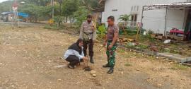 Penanaman Pohon Asem di pinggiran JJLS dari KORAMIL Gunungkidul