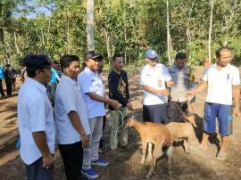 Penyerahan Bantuan Hibah Kambing Program Ketahanan Pangan Dana Desa Tahun 2023.